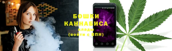 ешки Аркадак