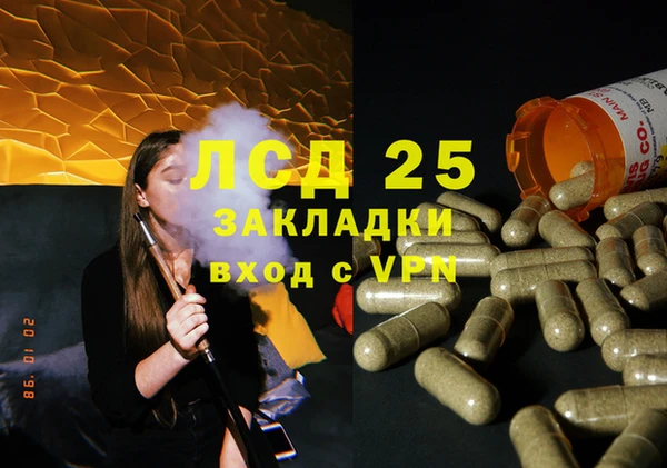 ешки Аркадак